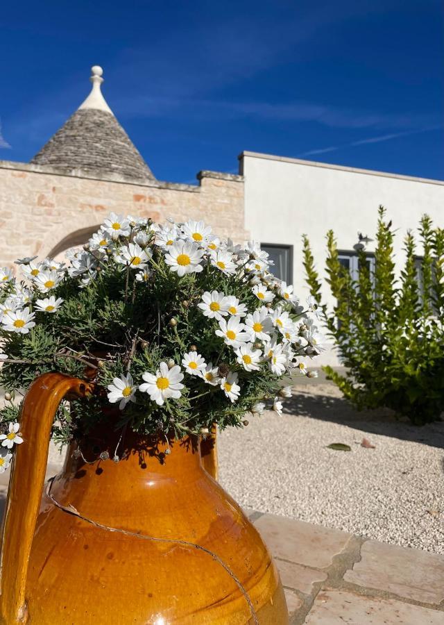 Trullisia Bed And Breakfast Alberobello Ngoại thất bức ảnh